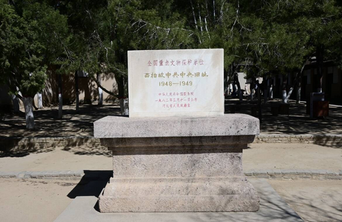 图片7.png