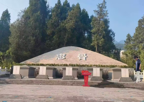 图片14.png