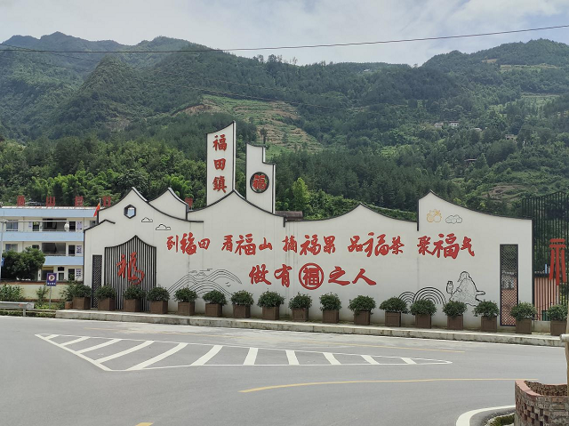 图片6.png